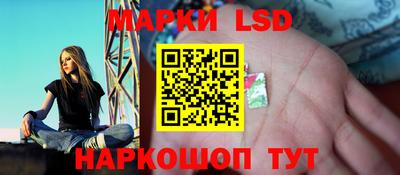 PSILOCYBIN Заволжье