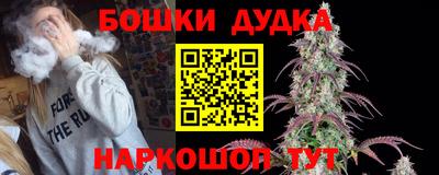 PSILOCYBIN Заволжье