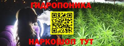 PSILOCYBIN Заволжье
