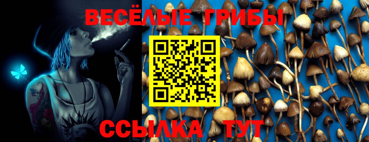 Североморск  Псилоцибиновые грибы Psilocybine cubensis  Псилоцибиновые грибы GOLDEN TEACHER  Вход с VPN 